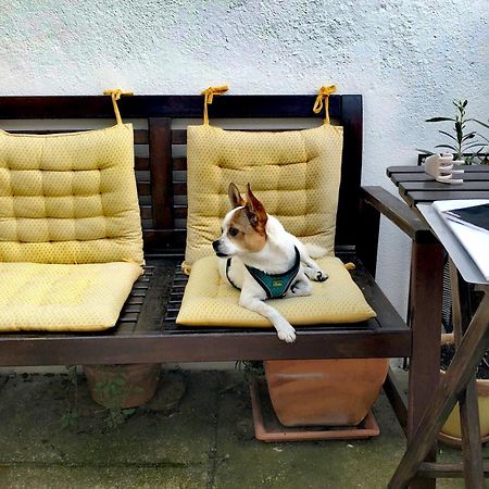 St. Johns Alley Of Poetry And Imaginary Cats 波尔图 外观 照片